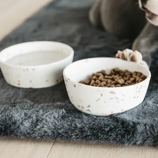 Single Raised Dog Bowl: The Smart, Simple Upgrade for Everyday Feeding