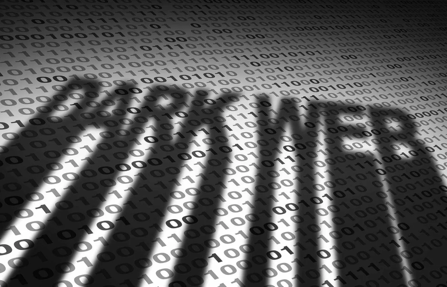 Exploring the Hidden Web: Why People Use Dark Web Sites and How It Works