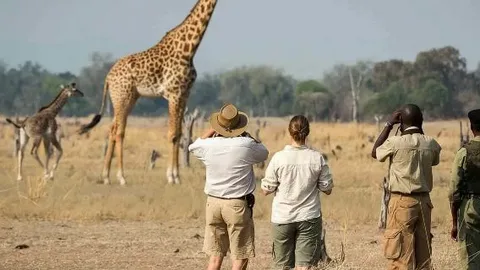 Arusha vs Dar es Salaam: Where to Start Your Self-Drive Safari in Tanzania