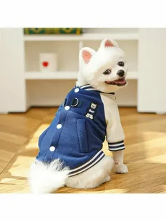 Stylish Dog Clothing That’s Cute and Functional