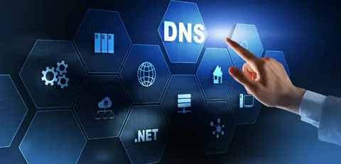 Discover services the latest software purchases and digital transformation